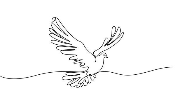 Flying dove continuous one line drawing animated video. Love and freedom bird symbol animation, Full length one line animation, Animated self drawing of single continuous line draw flying dove of 4k.
