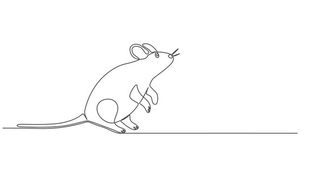 Self drawing animation one continuous line draw, logo, rat, mouse, One line drawing animation of or rat animal, Abstract rat, continuous one line art hand drawing, minimalism animation simplicity one.