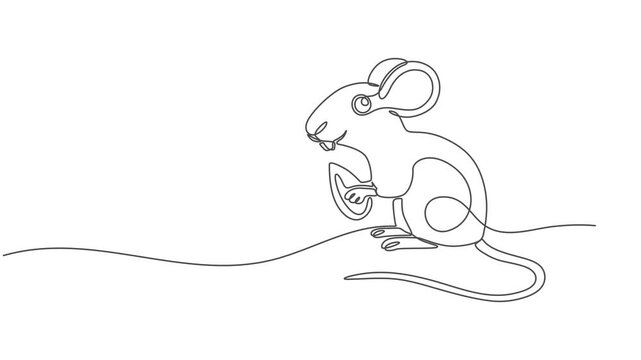 Self drawing animation one continuous line draw, logo, rat, mouse, One line drawing animation of or rat animal, Abstract rat, continuous one line art hand drawing, minimalism animation simplicity one.