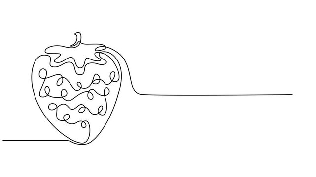 Strawberry, one line drawing animation. Video clip with alpha channel, Self drawing line animation organic strawberries fruit Fresh berries fruitage continuous one single line drawn concept video pro.
