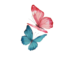 two realistic pink and blue butterflies flying, side view, white background, vector illustration, colorful illustrations