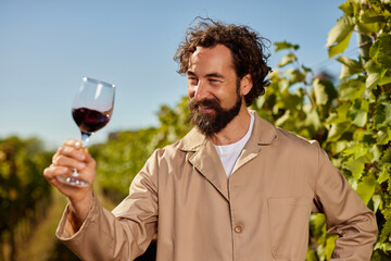 A winemaker, sporting a beard and curly hair, joyfully inspects red wine in a glass while standing among lush grapevines in a family-owned vineyard during harvest.