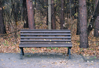 Empty old brown wooden bench in the autumn park against yellow foliage and tree trunks front view