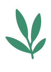 Fototapeta premium Simple green leaf sprig botanical illustration isolated on white background. SVG Vector Illustrations
