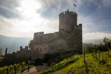 Château de Kaysersberg (aka Schlossberg) in Kayserberg, Alsace, France
