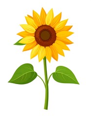 Vibrant Sunflower Illustration with Green Leaves on White Background.