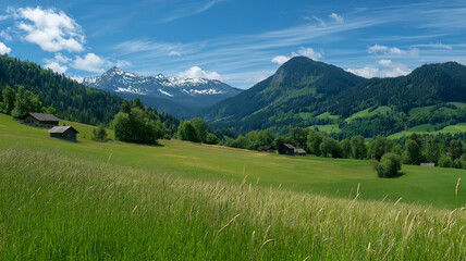 Obraz premium Idyllic mountain landscape in the Alps with blooming meadows in springtime
