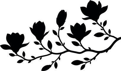 Fototapeta premium Silhouetted magnolia flowers bloom on a delicate branch against a white background.
