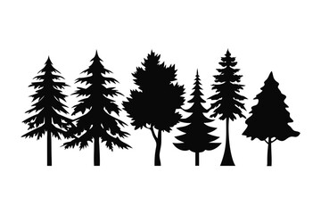 Forest Silhouette: A striking silhouette of various trees against the backdrop of nature, symbolizing the beauty and strength of nature.