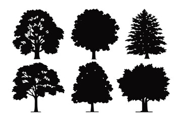 Silhouetted Trees: A collection of various tree silhouettes, each with unique characteristics and shapes, showcases the diversity of nature's arboreal forms.
