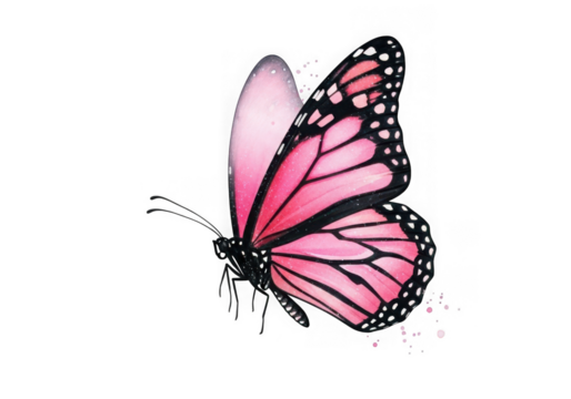 Vibrant pink butterfly wing detailed macro photography against deep shadowed abyss isolated on transparent background