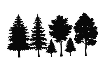 Fototapeta premium Silhouette of Varied Trees: Capturing the intricate silhouettes of an array of trees. Showcasing the unique shape and textures of each tree against a solid backdrop.