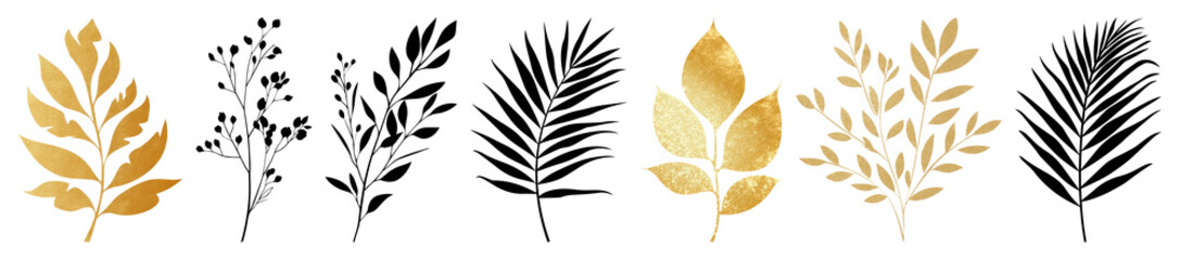 Fototapeta premium PNG Elegant gold black leaf illustration, element set on transparent background