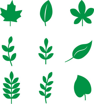 Green Plant Silhouette Pack on Transparent Background &ndash; Nature Leaves Collection for Design and Decoration