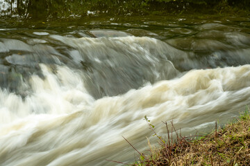 Flowing water rushes over rocks beside dense greenery on a serene riverbank during a calm afternoon