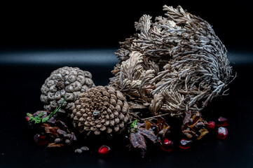Beautiful still life photos of typical autumn fruits