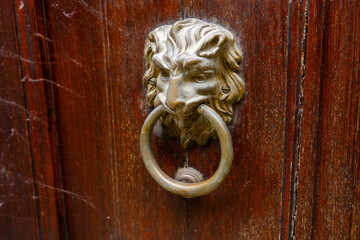Brass door knocker in the shape of a lion holding a ring in its teeth. Wooden old door