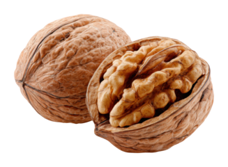 Walnut harvesting techniques farm food outdoors isolated on transparent background