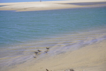 Águas Belas is one of the main day trip options east of Fortaleza, about 67 km from the capital of Ceará. It is located in the municipality of Cascavel, Brazil.