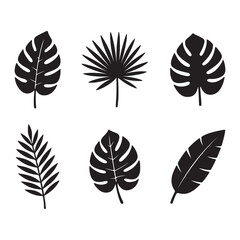 Silhouette black of tropical leaves vector illustration style