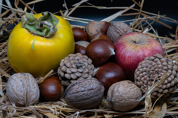Still life of typical autumn fruits 2