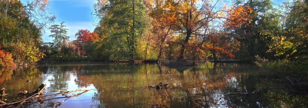 Anamorphic Lens - Foliage at Legnano park in Italy
