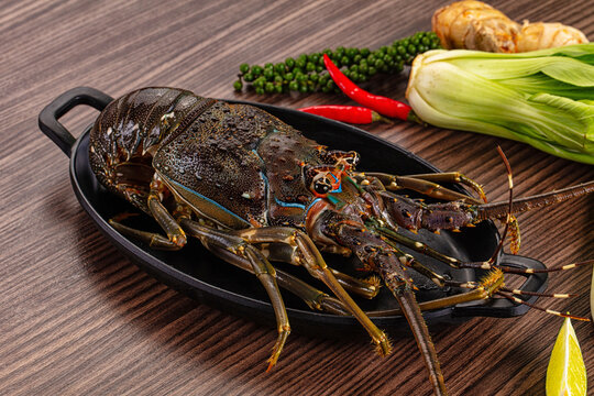 Raw fresh lobster for bowl