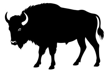 Bison buffalo silhouette vector,  bison black symbol