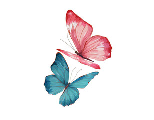 Fototapeta premium two realistic pink and blue butterflies flying, side view, white background, vector illustration, colorful illustrations