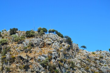 ein  Berg mit Felsbrocken und Bäumen