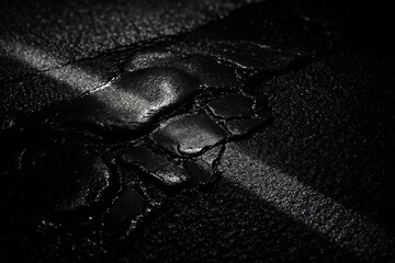 Abstract Close-Up of Black Textured Surface with Glossy Highlights