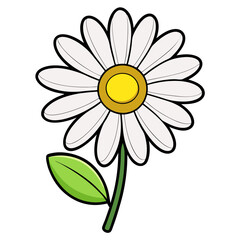 Daisy flower drawing illustration vector image for spring floral designs and summer garden art projects