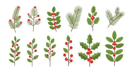 A collection of festive evergreen branches and red berries for decoration © Tm Studio