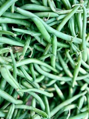gros plan sur des haricots vert frais chez un producteur bio