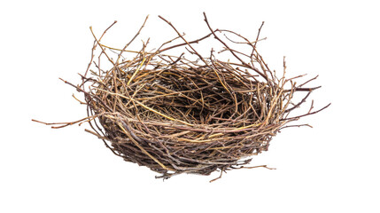 Bird nest made of twigs isolated on a transparent background