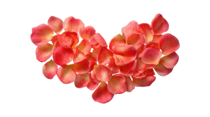 Coral and pink rose petals heart shape isolated on a transparent background