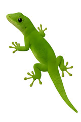 Fototapeta premium Green Lizard PNG Isolated Reptile Animal on Transparent Background
