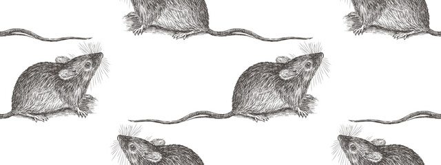 Seamless pattern of little mouse sketch, vector hand drawing, wallpaper, paper, white background