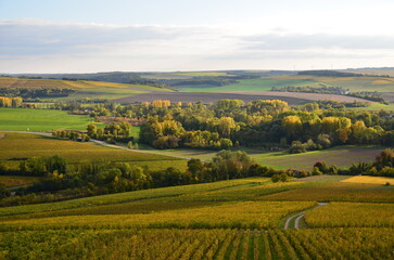 VUE SUR LE VIGNOBLE DE CHABLIS BOURGOGNE