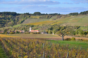 VILLAGE ET VIGNOBLE D'IRANCY EN AUTOMNE BOURGOGNE