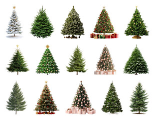 PNG Festive Christmas trees collection, element set on transparent background