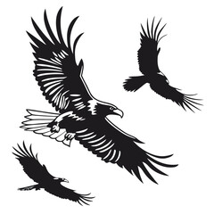 Obraz premium Three eagles flying in black and white style