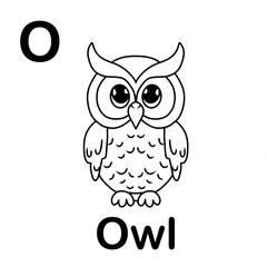 Coloring book, coloring pictures of Owl, coloring animal
