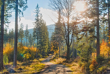 abstract, adventure, autumn, autumn background, autumn colors, autumn landscape, branch, color, colorful, country, fall, fall season, foliage, forest, green, landscape, landscapes, leaf, leaves, mount