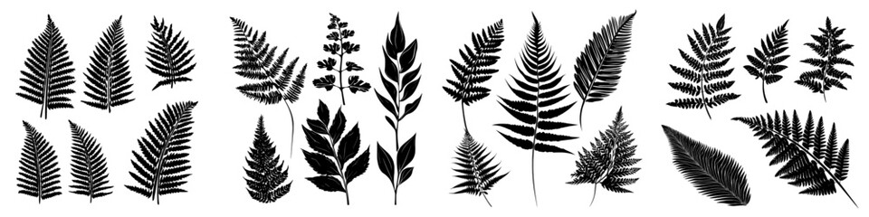 Fern silhouettes are depicted in an isolated flat modern illustration set against a white background