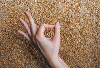 A woman's hand makes the OK sign. Concept of agricultural export and import from Ukraine to Europe. Food safety and high quality.