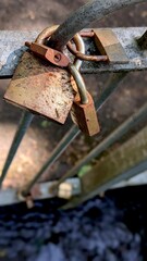 Close-up of weathered, rusty brass padlocks locked onto a metal bridge railing over dark water