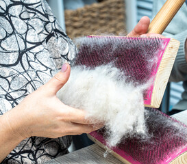 The skill of carding wool by hand, is crucial for producing quality yarn. © Тамара Андреева