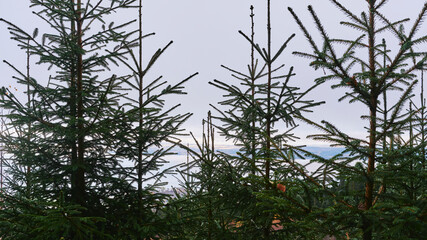 Landscape by the Sulustaddalen Valley, Toten, Norway, October 2025.