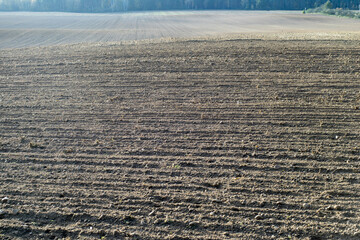 Zaorane jesienne pole uprawne